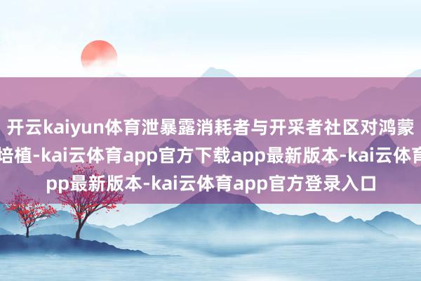 开云kaiyun体育泄暴露消耗者与开采者社区对鸿蒙系统摄取度的收敛培植-kai云体育app官方下载app最新版本-kai云体育app官方登录入口